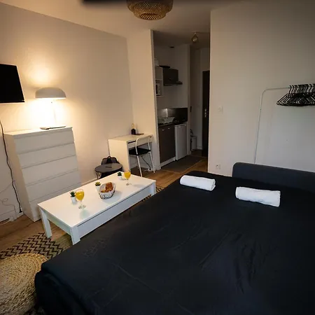 Le Petit Brienne - Centre-ville Aeroport Tbs Apartment Toulouse